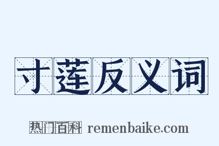 寸莲反义词是什么意思的图片